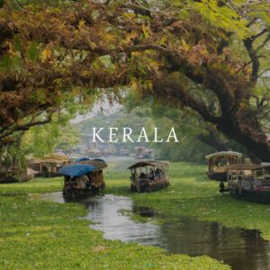 Il viaggio. Kerala, Sud India: Yoga e Avventura - 31 gennaio/11 febbraio
